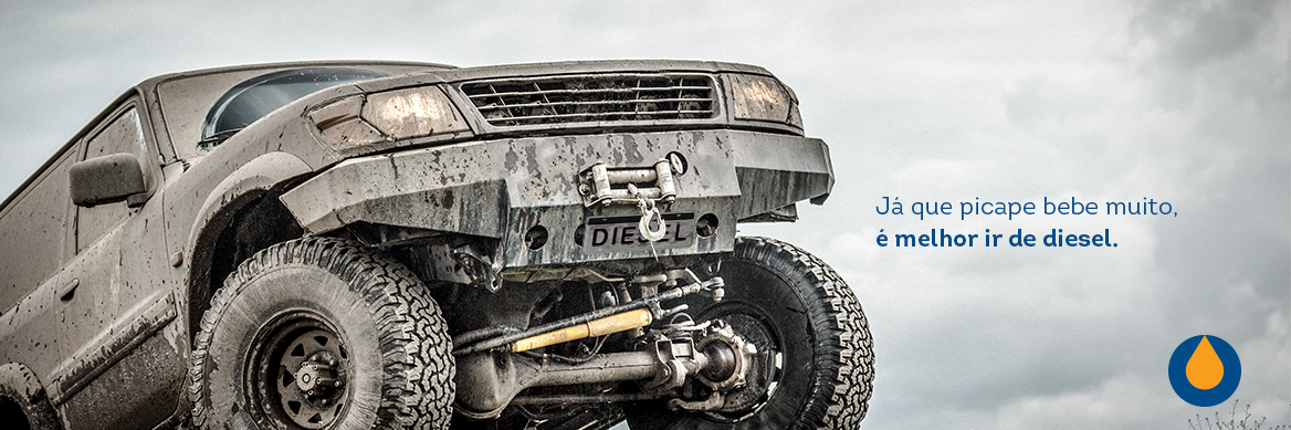 confira-a-caracteristica-que-e-quase-unanimidade-entre-os-donos-de-picape